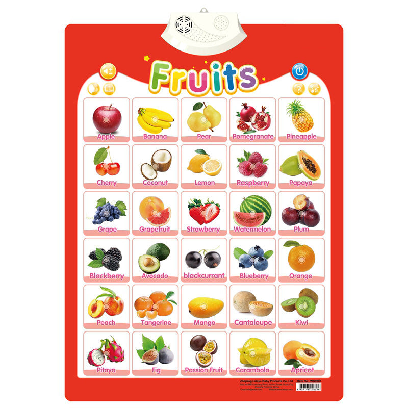 Children's Audio Wall Chart Stationery Displays