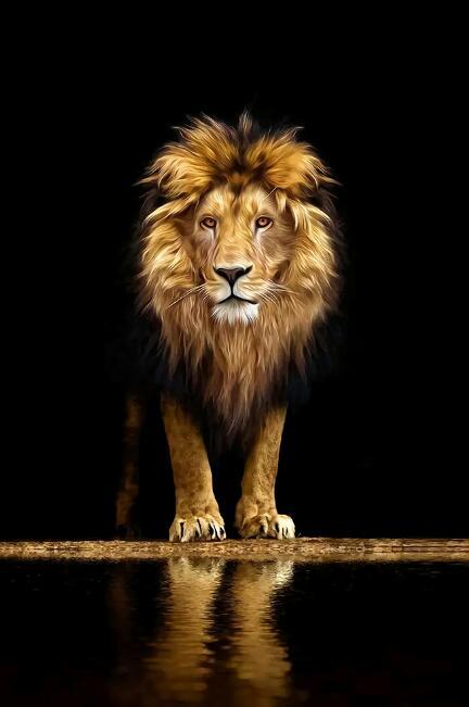 Canvas Animal Posters And Print Stationery Displays