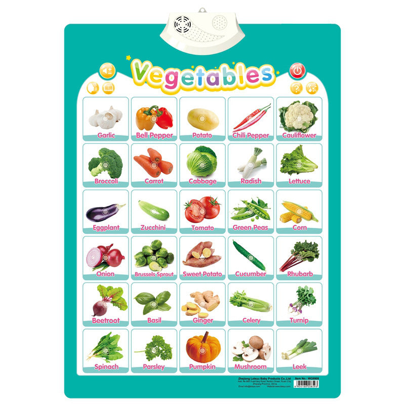 Children's Audio Wall Chart Stationery Displays