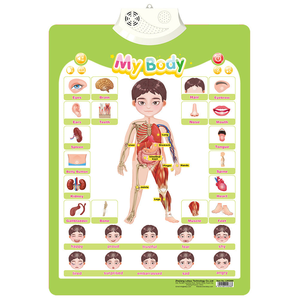 Children's Audio Wall Chart Stationery Displays