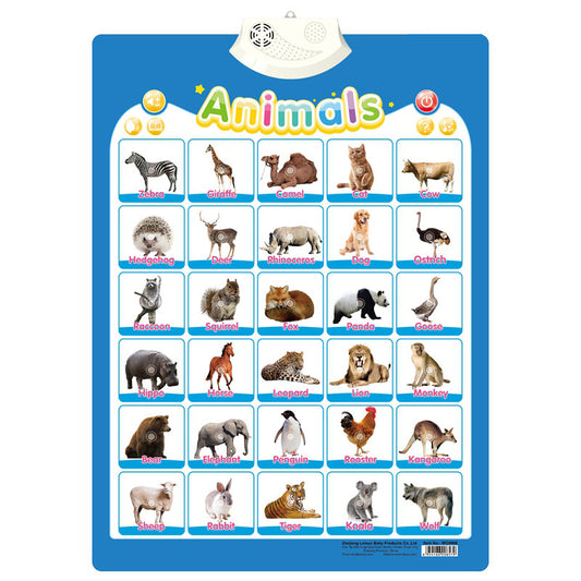 Children's Audio Wall Chart Stationery Displays