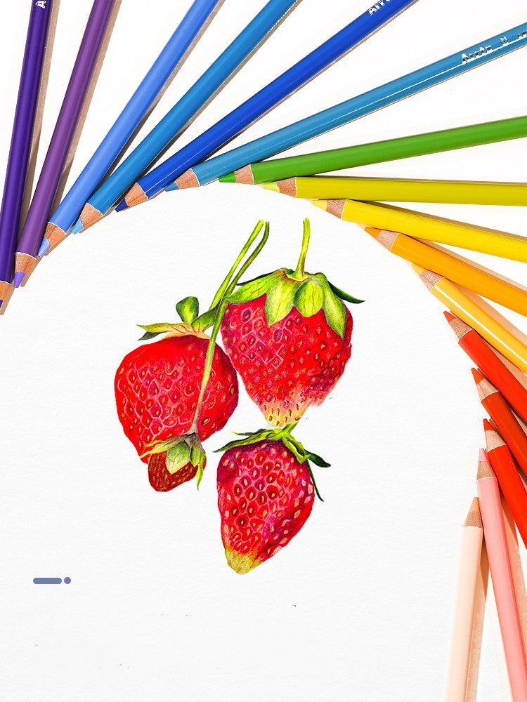 Art Supplies Drawing Sketch  Coloured Craft for Little Artists