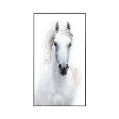 White Horse Canvas Picture Animal Posters Stationery Displays